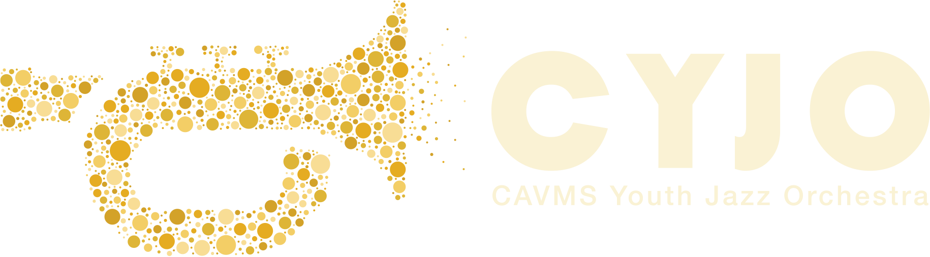 CAVMS Youth Orchestra